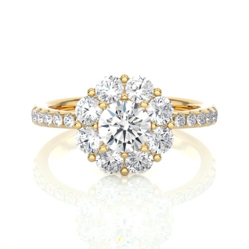 Solitaire diamond cluster with diamond band   - Yellow Gold